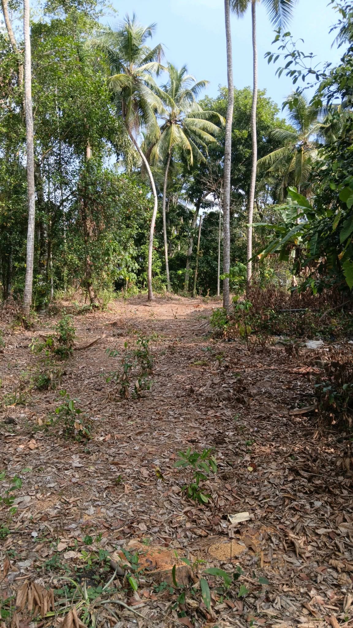 උඩුගම්පොළ,වීදිය වත්තෙන් ඔබට ලැබෙන සුපිරි ඉඩමක් .