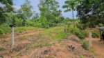 පර්චස් 13ම ලක්ෂ 10.50/= නිට්ටඹුව උෘරපොල අවටින්