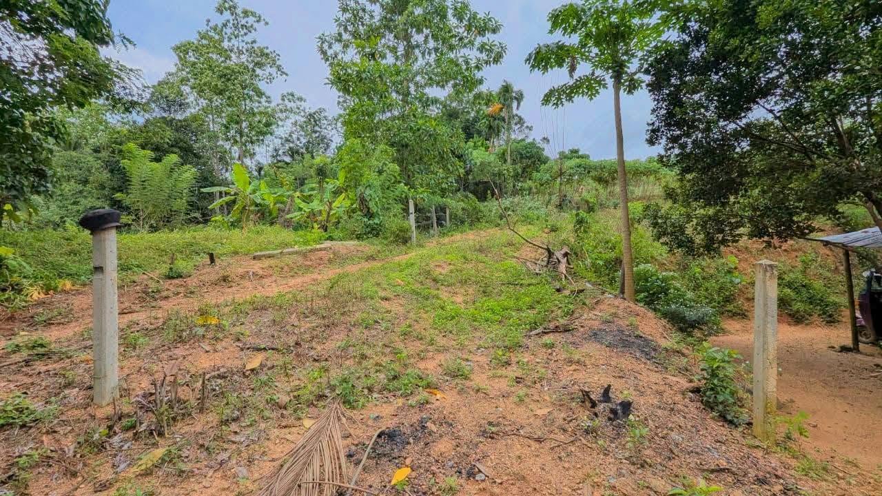 පර්චස් 13ම ලක්ෂ 10.50/= නිට්ටඹුව උෘරපොල අවටින්