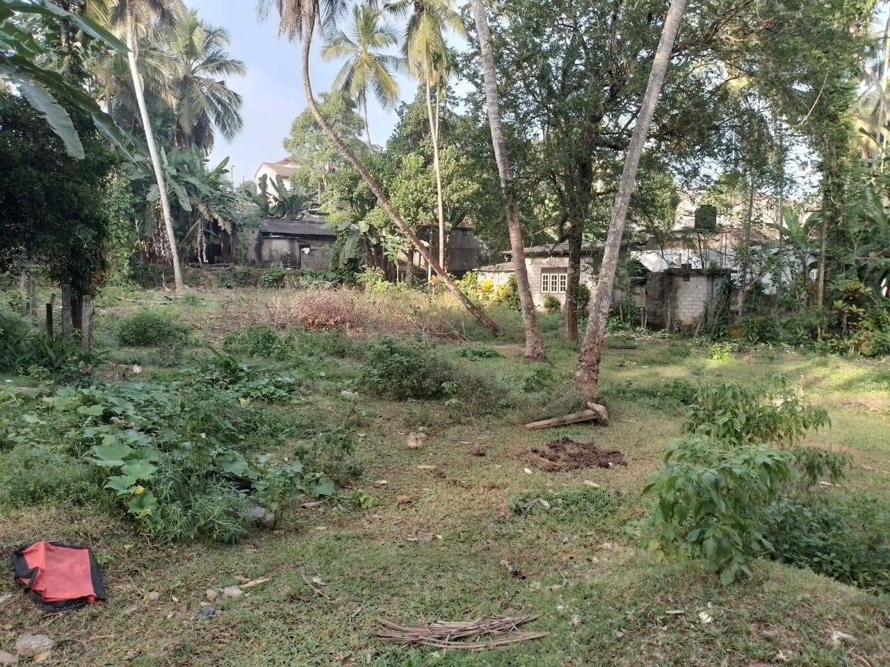 රාගම නගරයෙන්,රෝහල ආසන්නයේන් සුපිරි ඉඩමක් විකිණීමට තිබේ