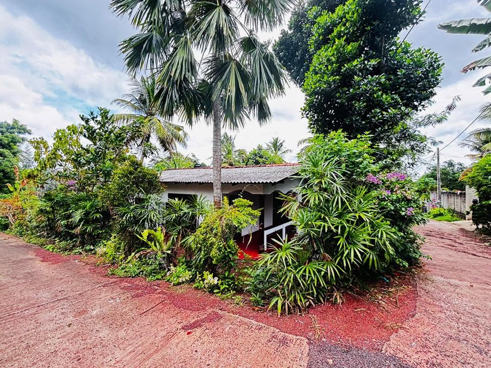 නිවසක් විකිණීමට – ලක්ශ 60 – කටුනායක ආඩිඅම්බලම