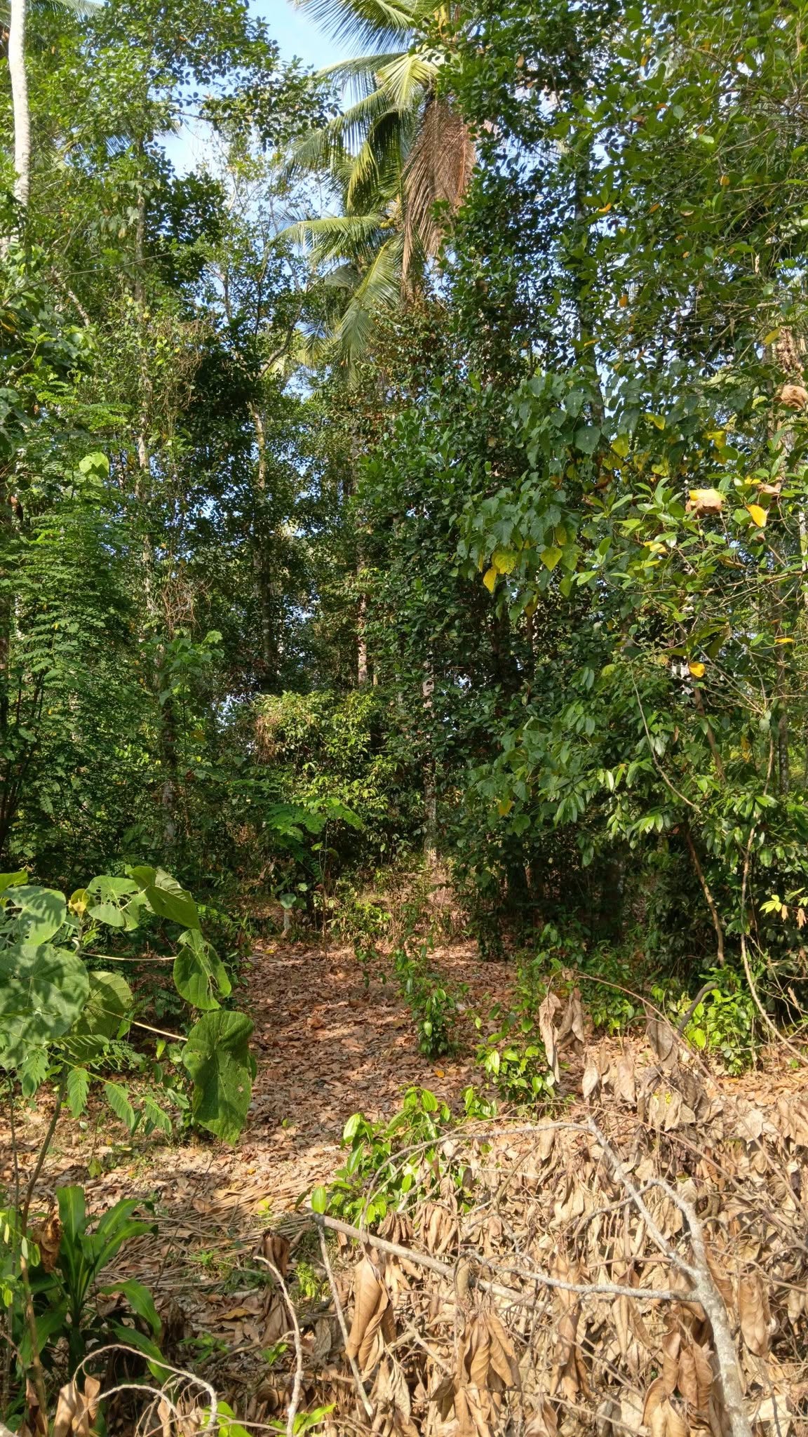 උඩුගම්පොළ,වීදිය වත්තෙන් ඔබට ලැබෙන සුපිරි ඉඩමක් .