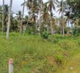 කුලියාපිටිය වයඹ විශ්වවිද්‍යාලය පිටුපස ගේට්ටුව අසල සිට මීටර් 700 දුරින් පිහිටි ඉඩමක් විකිණීමට ඇත.