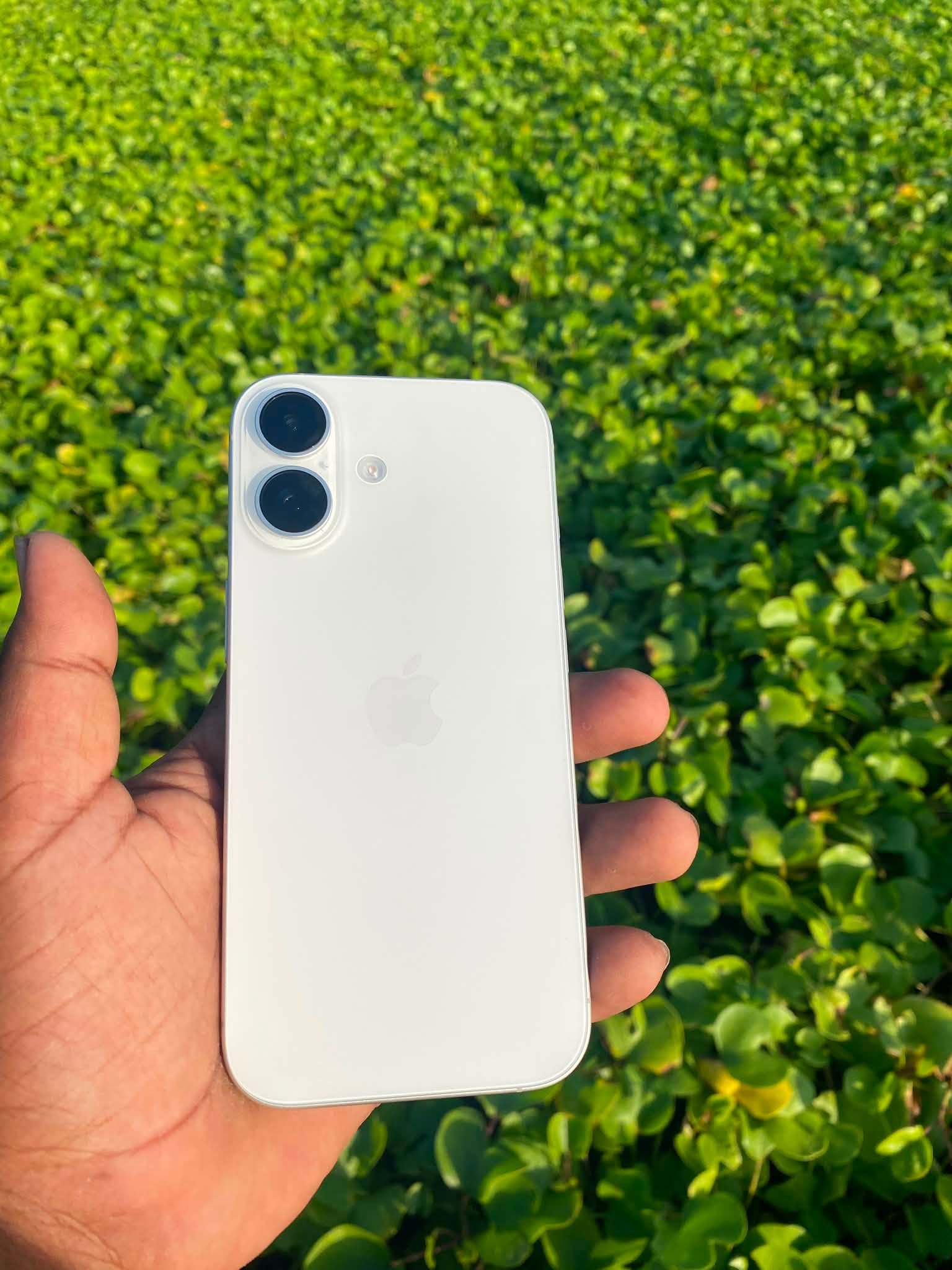 iPhone 17