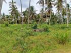 කුලියාපිටිය වයඹ විශ්වවිද්‍යාලය පිටුපස ගේට්ටුව අසල සිට මීටර් 700 දුරින් පිහිටි ඉඩමක් විකිණීමට ඇත.