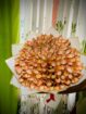 MANEE item’s Surprise / Decorations Make Your Special Moments Unforgettable