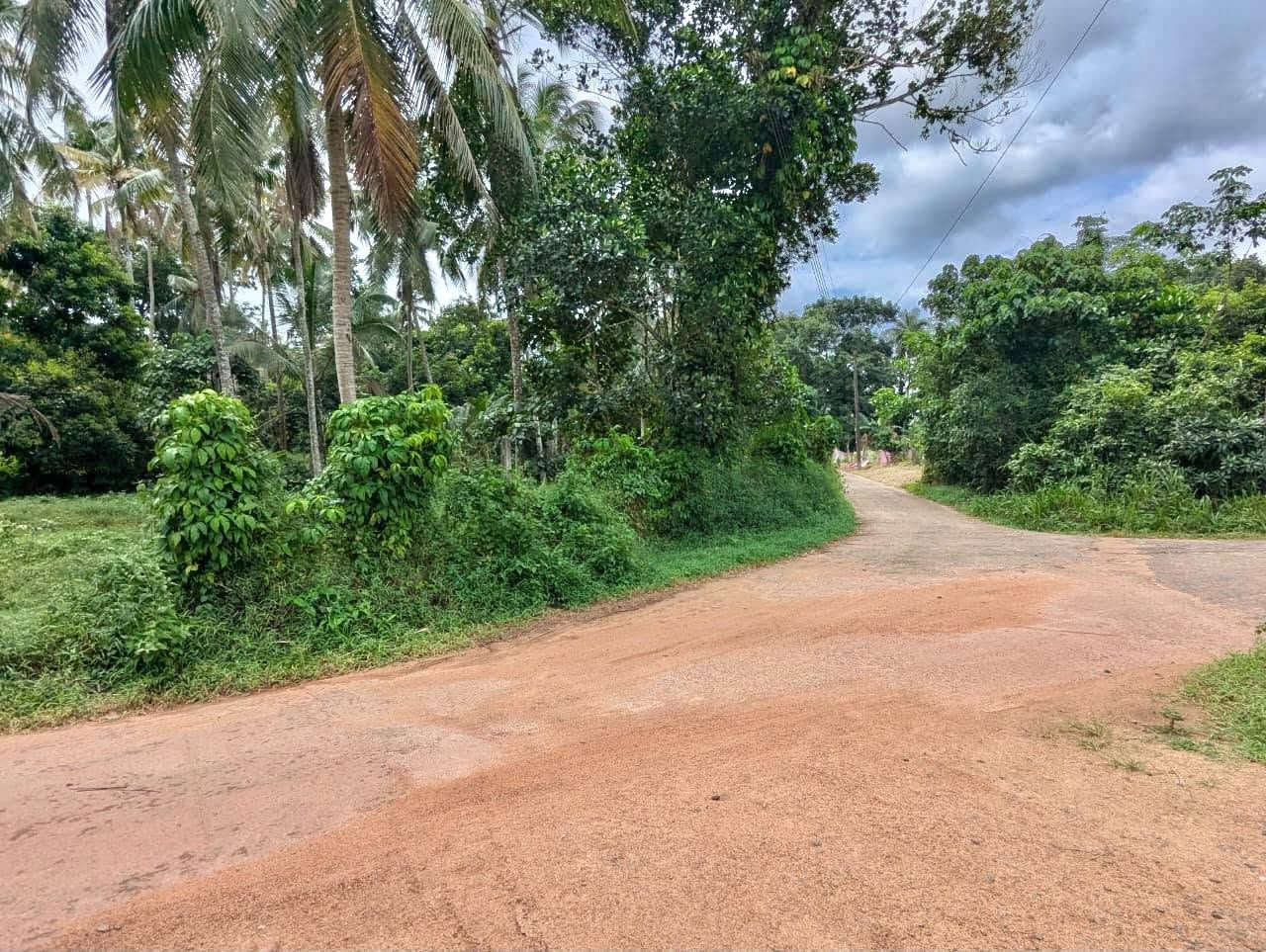 කඩුවෙල මල්වානෙන් ස්වාභාවික ආපදා වලින් තොර ආදායම් ලබන වටිනා පොල් අක්කරයක් විකිණීමට