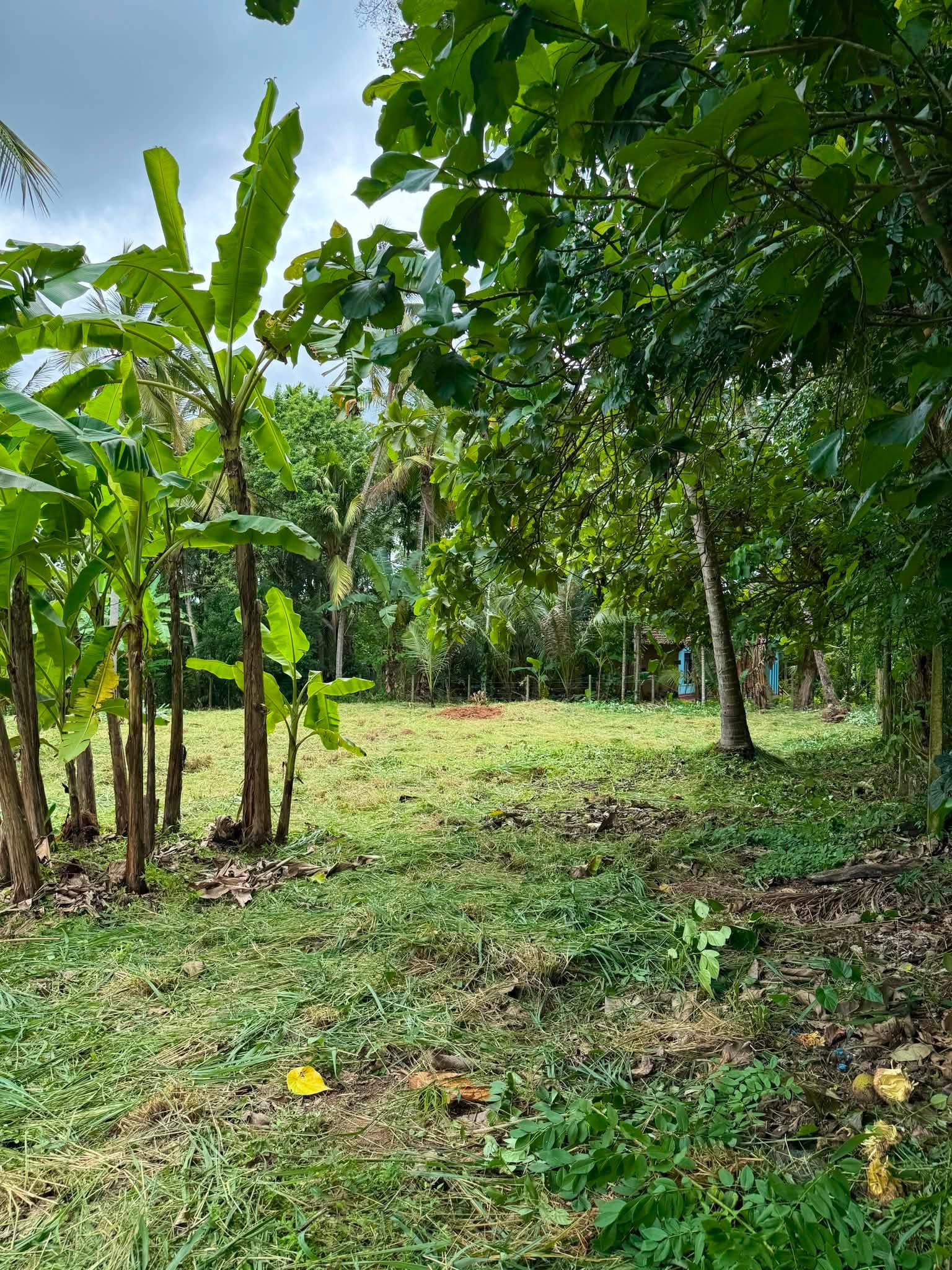 නාරම්මල මැටියගනේ (මීගමුව 34 කුරුණෑගල) ප්‍රධාන මාර්ගයට යාබදව පිහිටි පර්චස් 43.3ක(පර්චස් 18ක කැබලි 2ක්) අගනා බිම් කොටස, ඉතා ඉක්මනින් විකිණීමට.!
