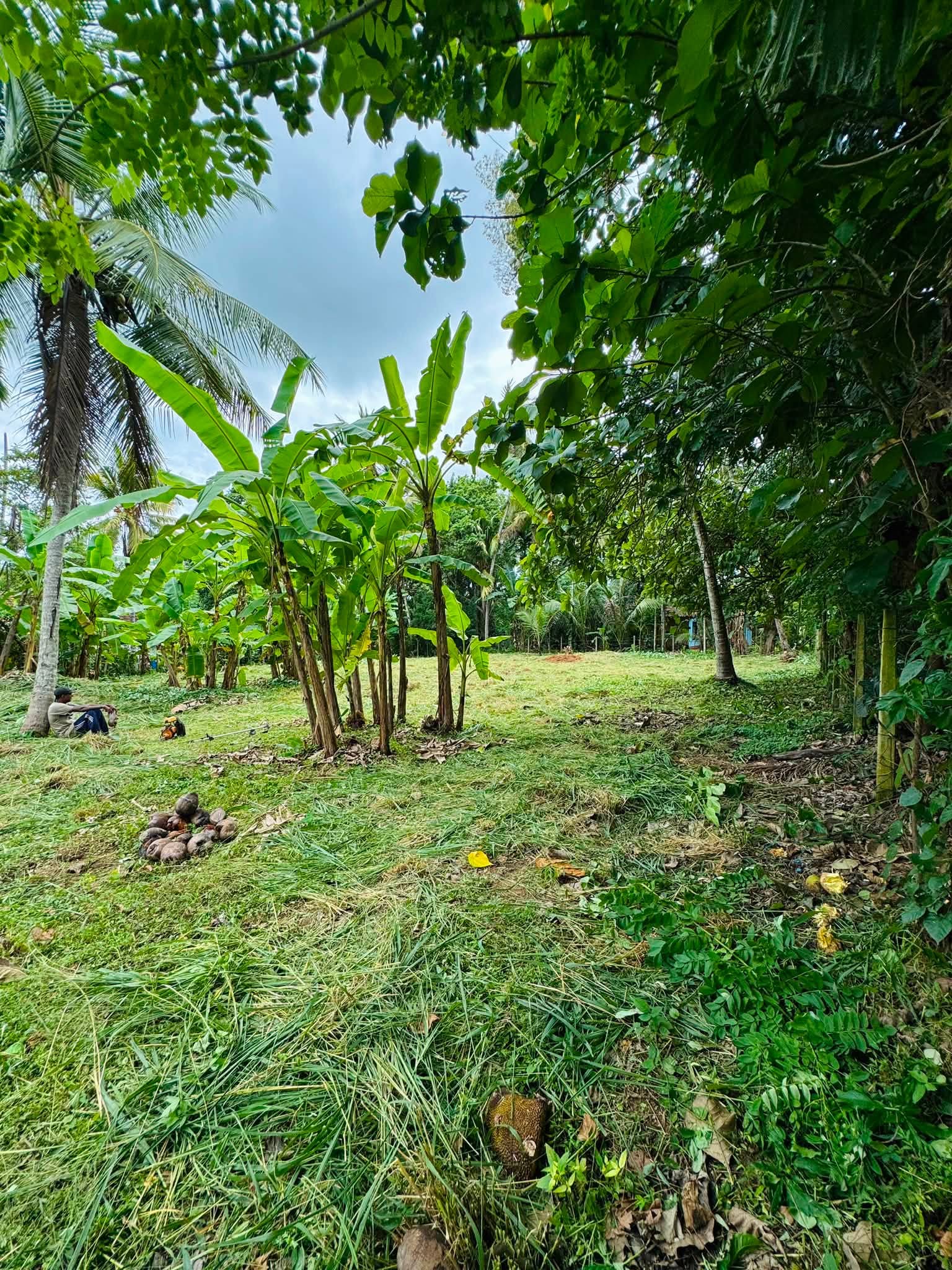නාරම්මල මැටියගනේ (මීගමුව 34 කුරුණෑගල) ප්‍රධාන මාර්ගයට යාබදව පිහිටි පර්චස් 43.3ක(පර්චස් 18ක කැබලි 2ක්) අගනා බිම් කොටස, ඉතා ඉක්මනින් විකිණීමට.!