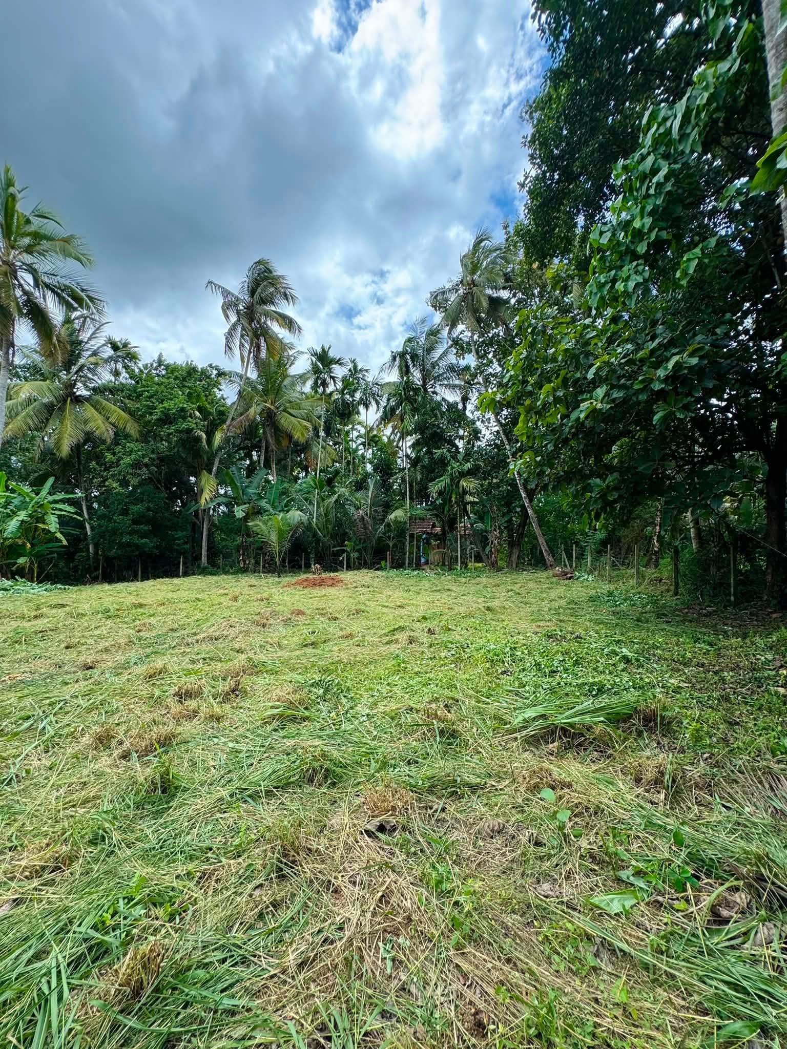 නාරම්මල මැටියගනේ (මීගමුව 34 කුරුණෑගල) ප්‍රධාන මාර්ගයට යාබදව පිහිටි පර්චස් 43.3ක(පර්චස් 18ක කැබලි 2ක්) අගනා බිම් කොටස, ඉතා ඉක්මනින් විකිණීමට.!