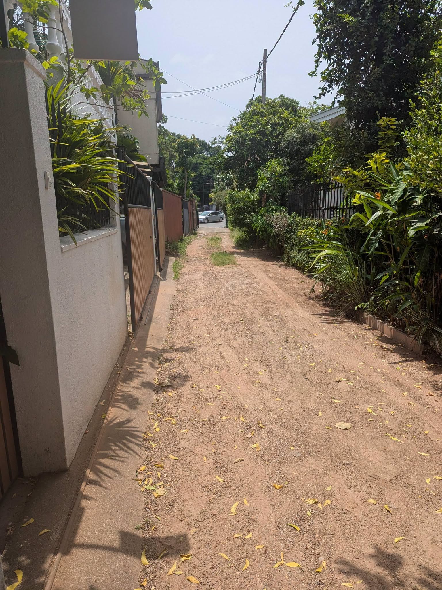Land for Sale in Colombo 05 (Vijayakumarathunga Mawatha)