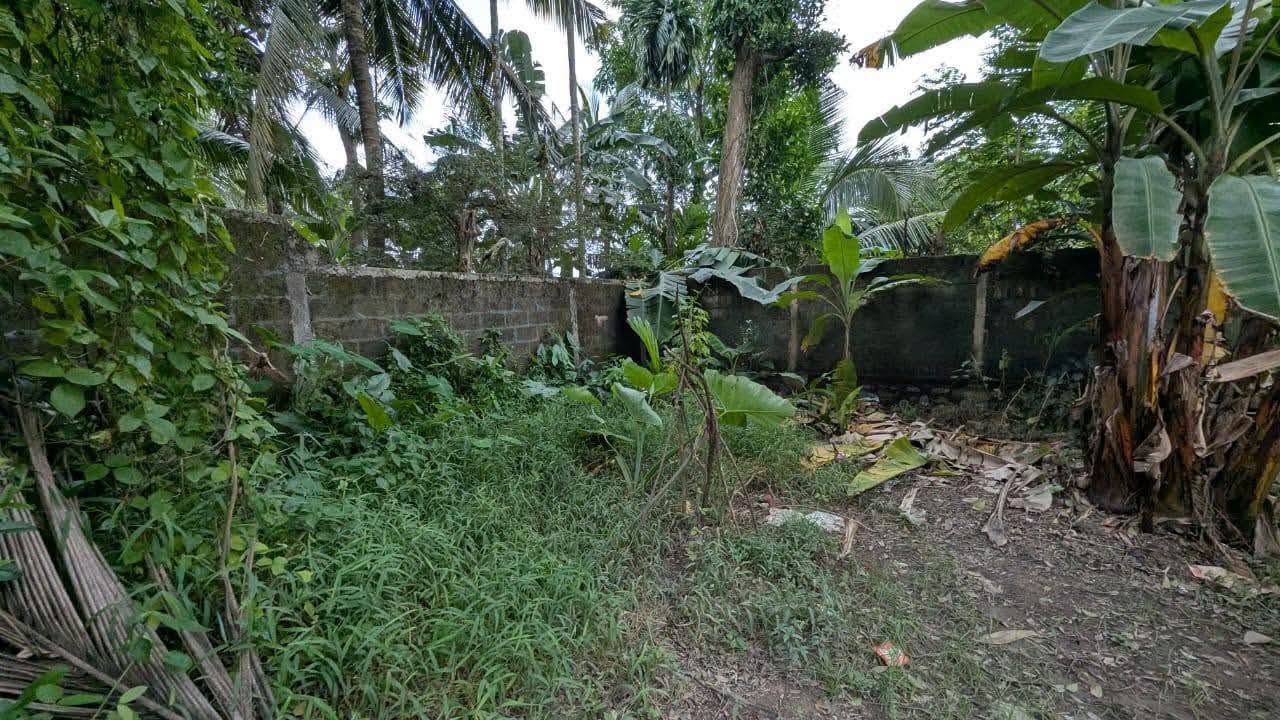ගම්පහ – ඉඳිගොල්ලෙන් වටිනා බිම් කොටසක් විකිණීමට!