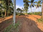 20 Perch Land for Sale in Horagala, Padukka! 