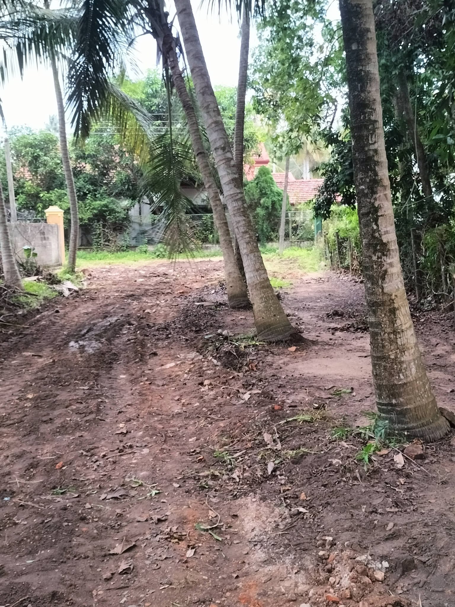 ලුනුවිල ප්‍රෙස්ටස් මාවත පර්චස් 40 ඉඩම විකිණීමට ඇත