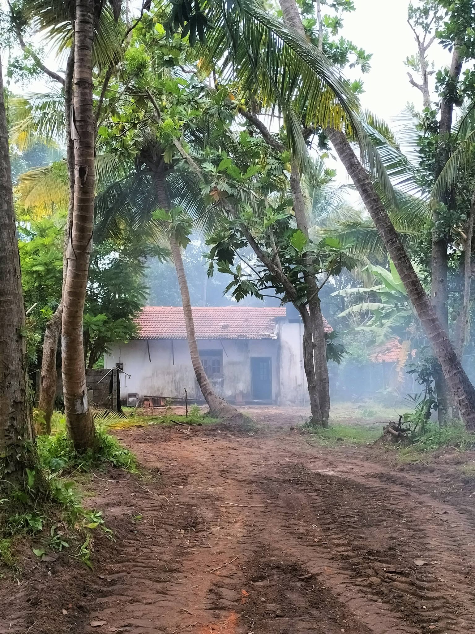 ලුනුවිල ප්‍රෙස්ටස් මාවත පර්චස් 40 ඉඩම විකිණීමට ඇත