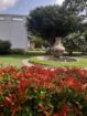 Hotel for Sale in Katana