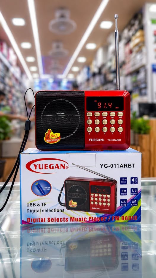 Mini Rechargeable Radio YG-011
