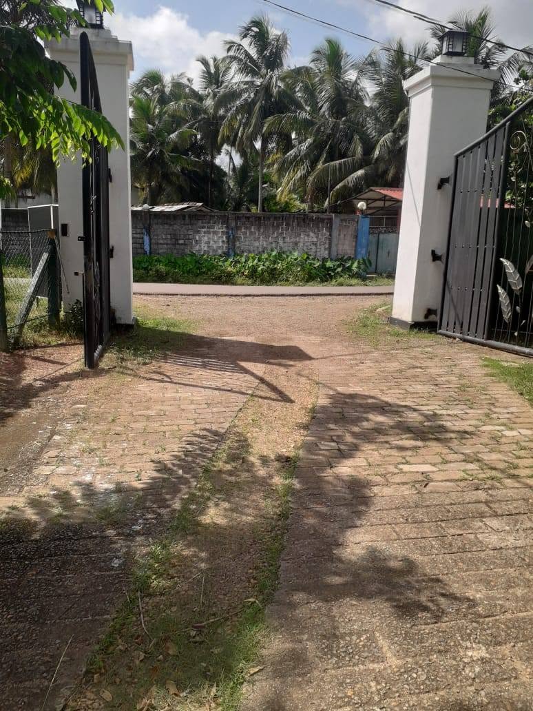 Hotel for Sale in Katana