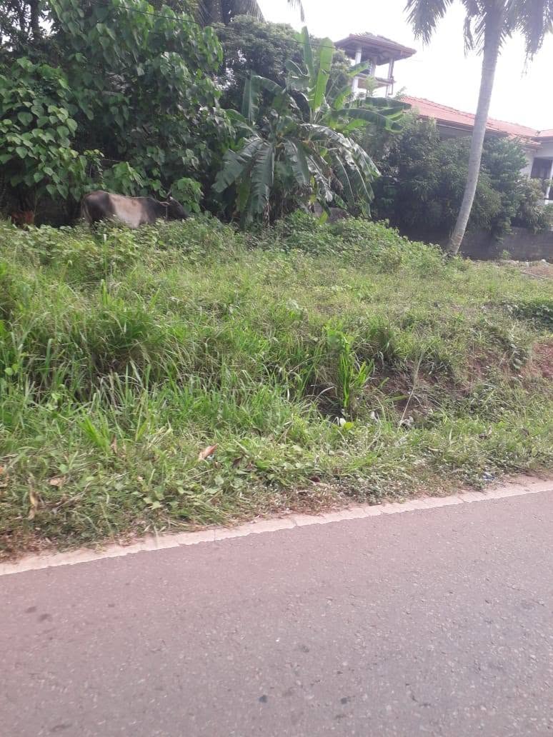 මිරිස්වත්ත – මීගමුව ප්‍රධාන මාර්ගයේ ඉඩමක් විකිණීමට ඇත!