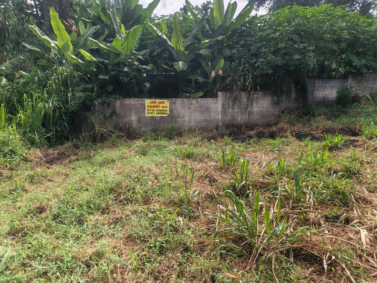 මෙම ඉඩම විකිනිමට ඇත.