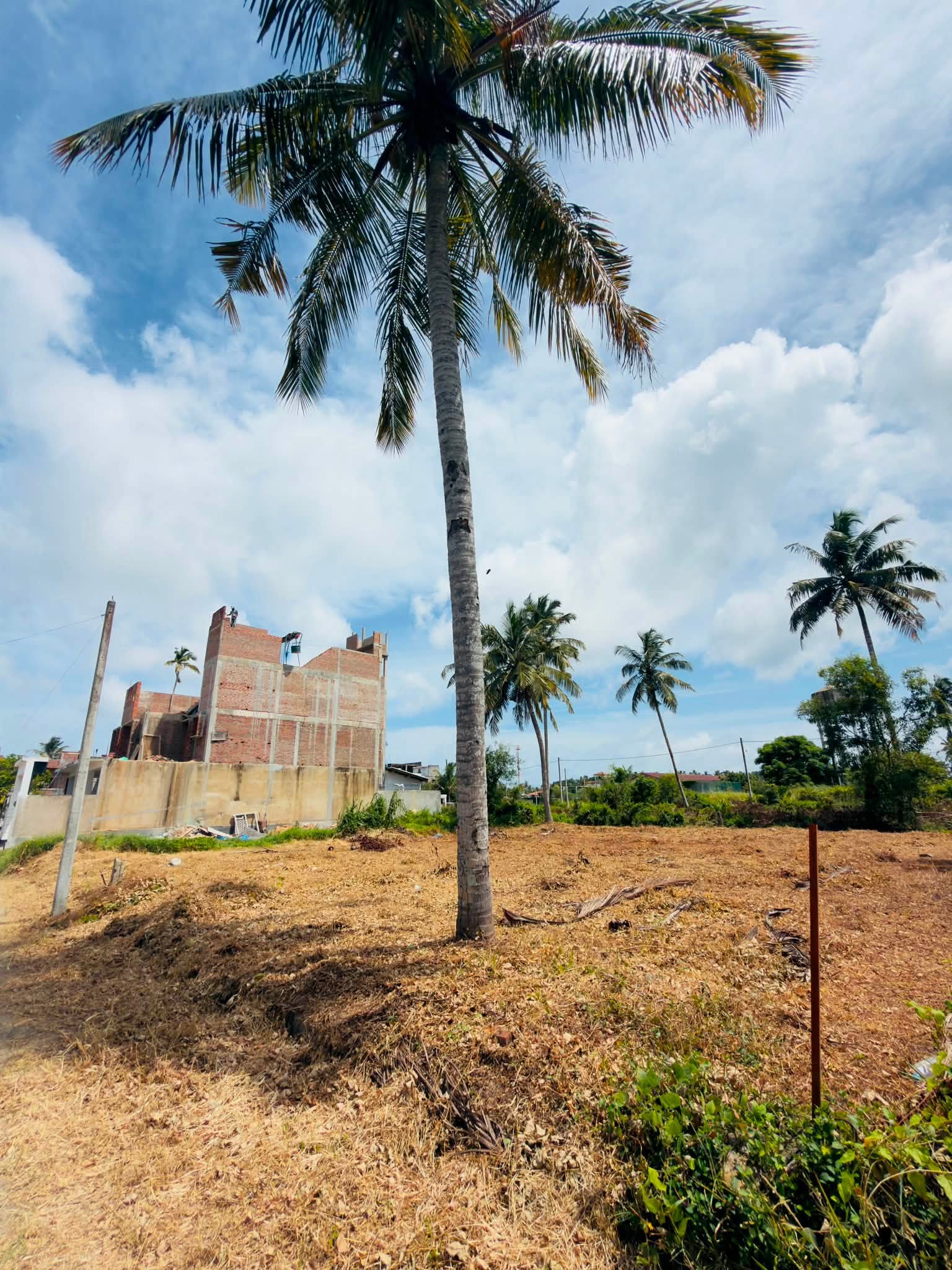 20 Perch Land For Sale – Kadirana, Grand City
