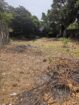 Land for Sale in Colombo 05 (Vijayakumarathunga Mawatha)