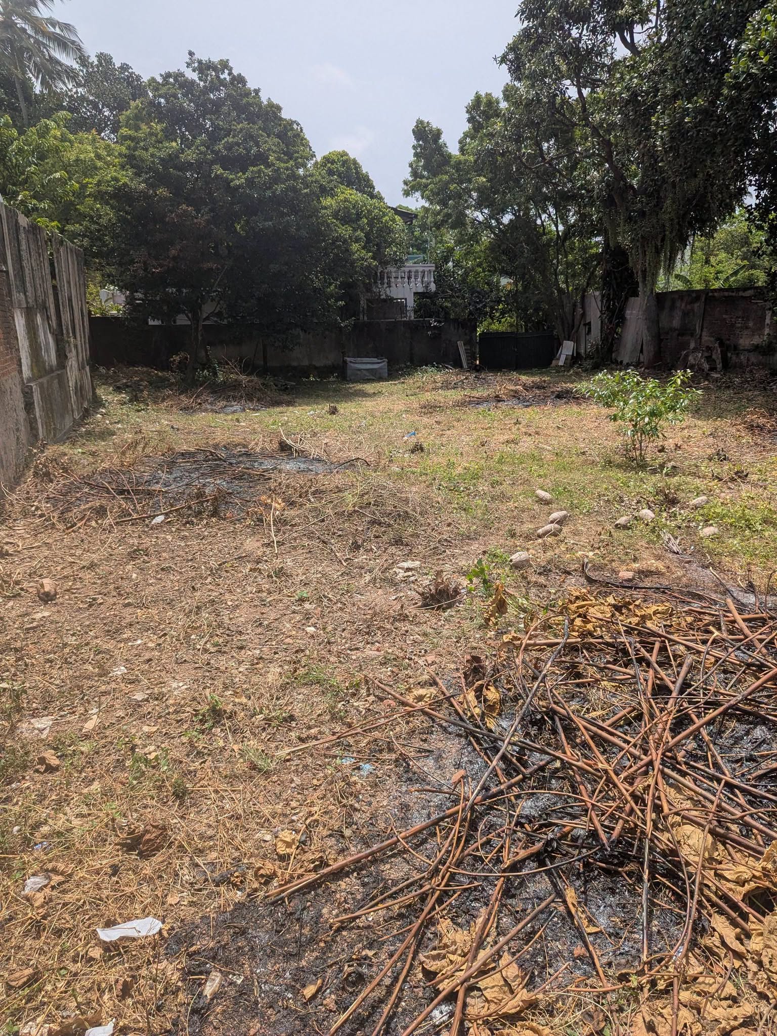 Land for Sale in Colombo 05 (Vijayakumarathunga Mawatha)