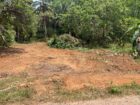 හංවැල්ල ජයවීරගොඩ පාරේ පර් 16.5ක ඉඩමක් විකිණීමට ඇත.