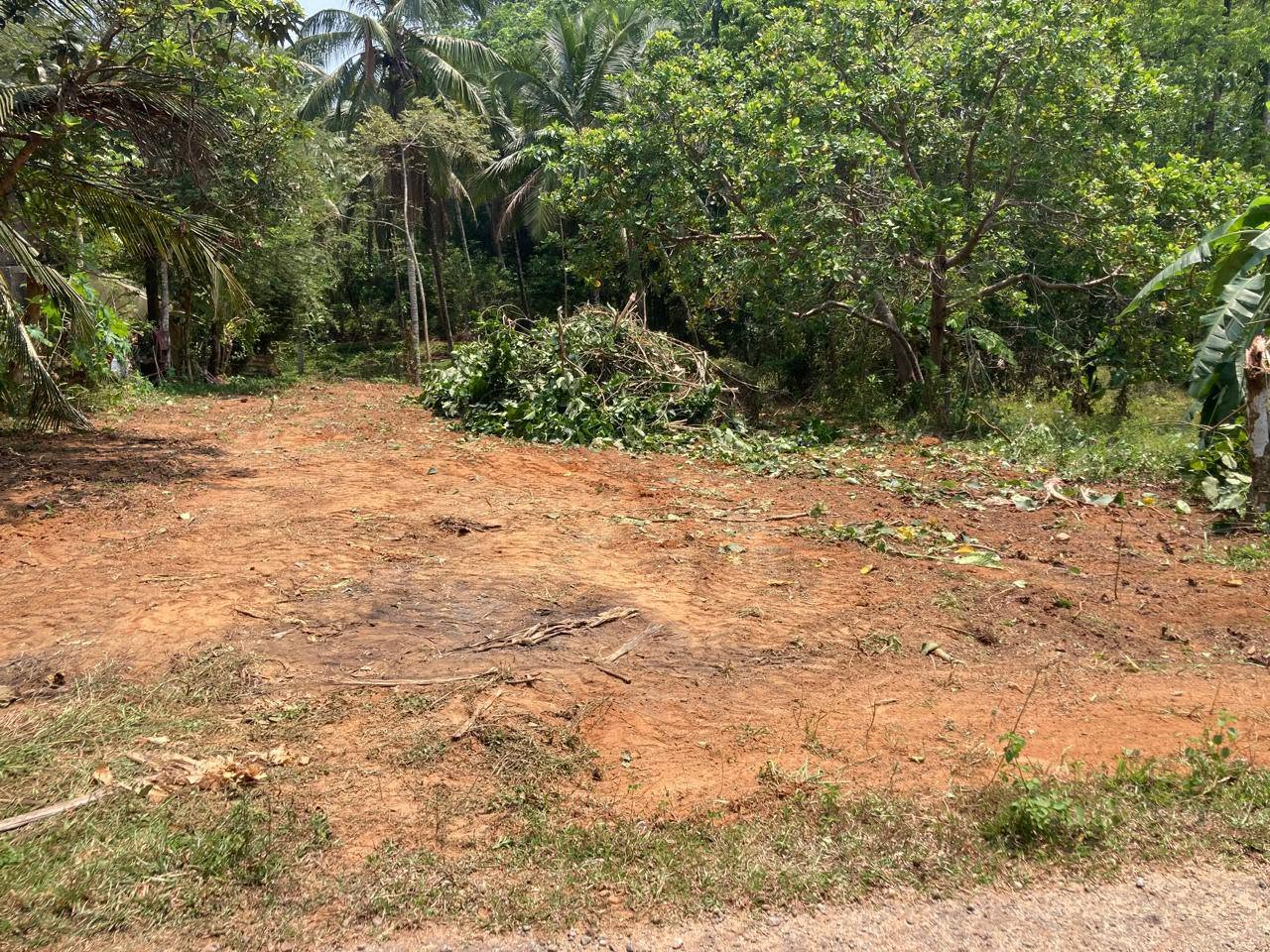 හංවැල්ල ජයවීරගොඩ පාරේ පර් 16.5ක ඉඩමක් විකිණීමට ඇත.