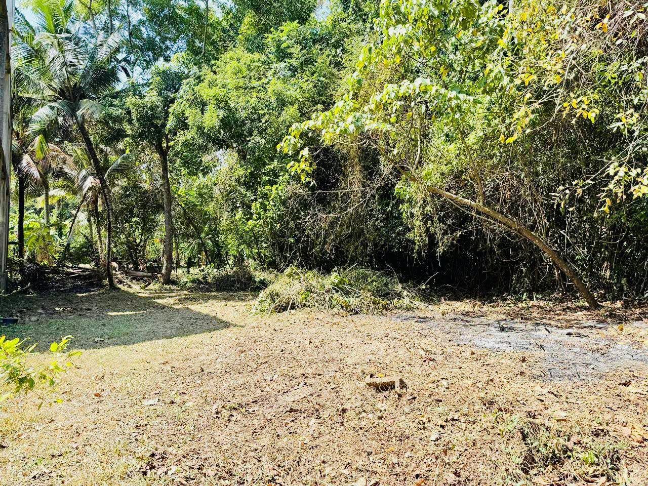 කටුනායක – ඉදිරියේදී වේගයෙන්ම වටිනාකම වැඩිවෙන ඉඩමක් විකිණීමට!
