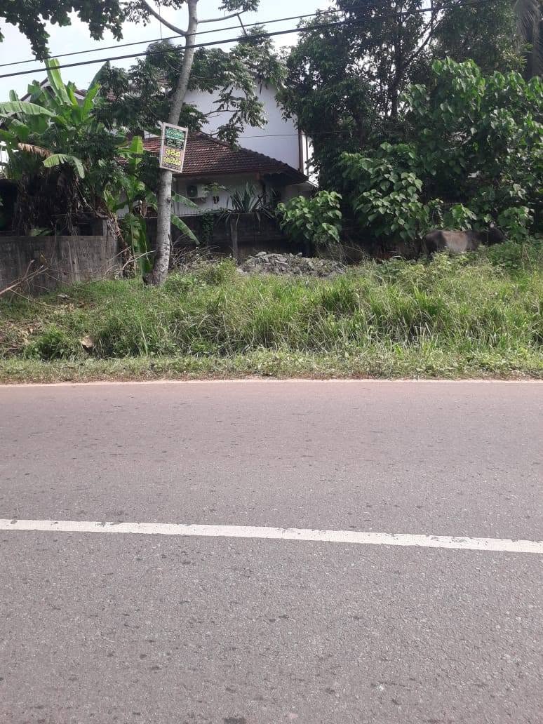 මිරිස්වත්ත – මීගමුව ප්‍රධාන මාර්ගයේ ඉඩමක් විකිණීමට ඇත!