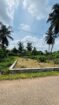 Land for Sale – Kadirana, Western Seaton Estate, Negombo