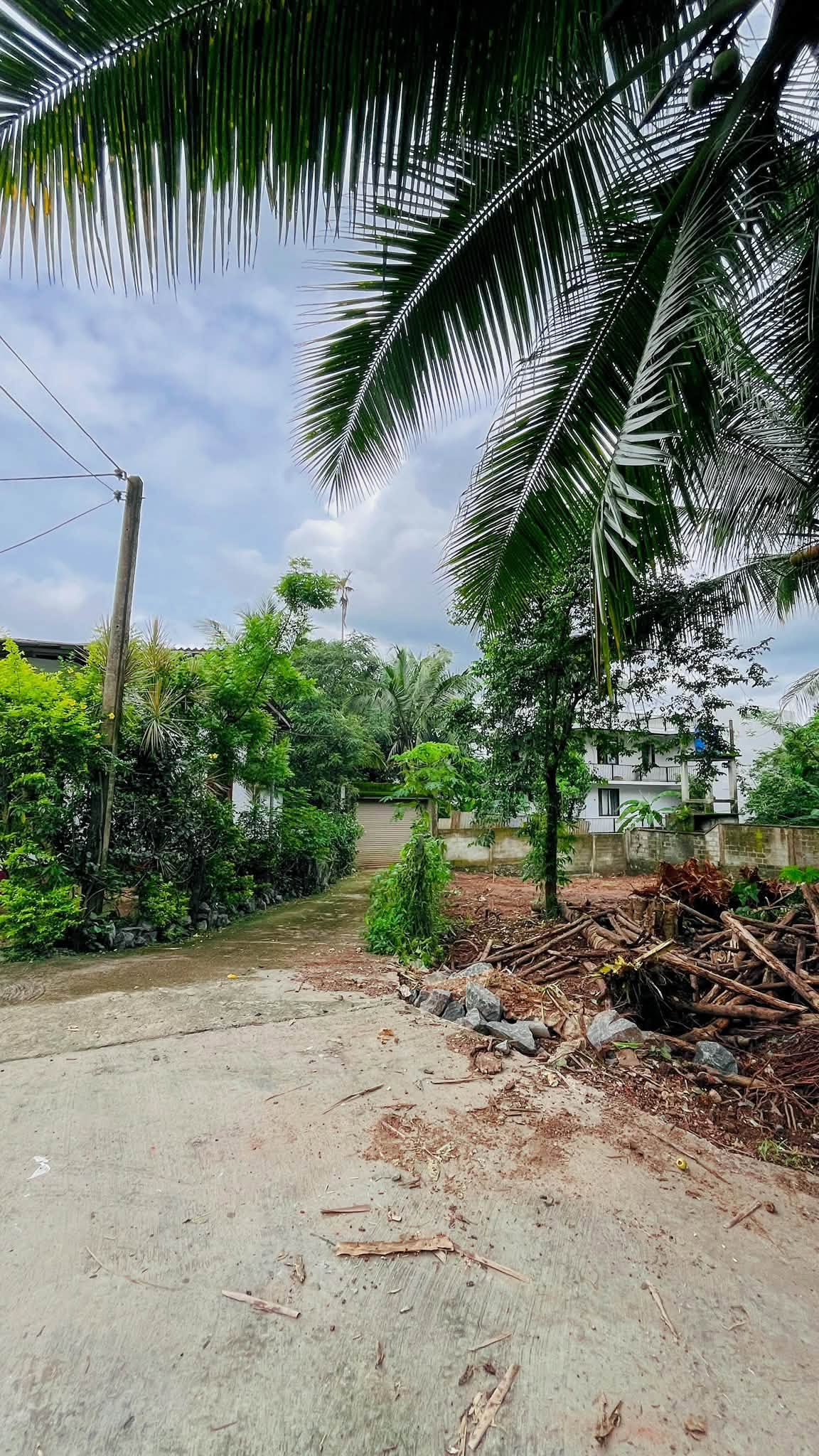 කඩවත – ඉහළ බියන්විලෙන් වටිනා නේවාසික ඉඩමක් විකිණීමට*