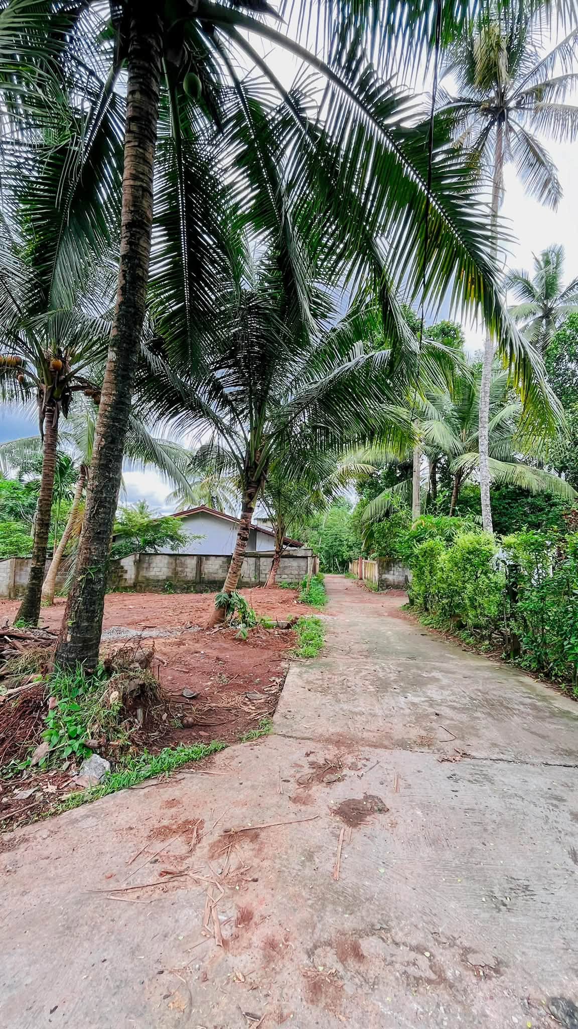 කඩවත – ඉහළ බියන්විලෙන් වටිනා නේවාසික ඉඩමක් විකිණීමට*