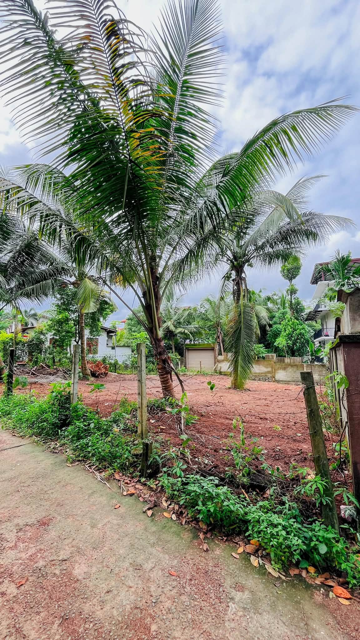 කඩවත – ඉහළ බියන්විලෙන් වටිනා නේවාසික ඉඩමක් විකිණීමට*