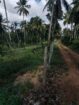 ගම්පහ,කිරිඳිවැල,අනුරගොඩ පර්චස් 96 පොල් ඉඩම