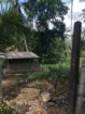 ගම්පහ,කිරිඳිවැල,අනුරගොඩ පර්චස් 96 පොල් ඉඩම