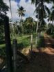 ගම්පහ,කිරිඳිවැල,අනුරගොඩ පර්චස් 96 පොල් ඉඩම