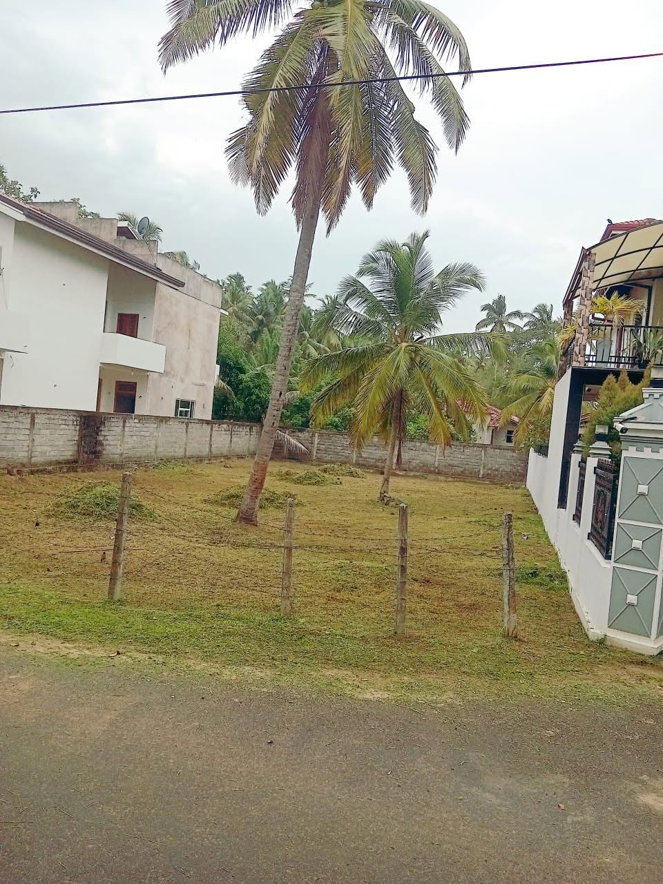 වෙන්නප්පුව ප්‍රදාන බස් පාරට මුහුන ලා purchus 15 මෙම සින්නක්කර ඉඩම විකිනීමට ..
