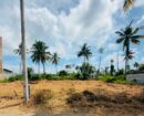 20 Perch Land For Sale – Kadirana, Grand City