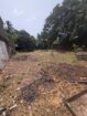 Land for Sale in Colombo 05 (Vijayakumarathunga Mawatha)