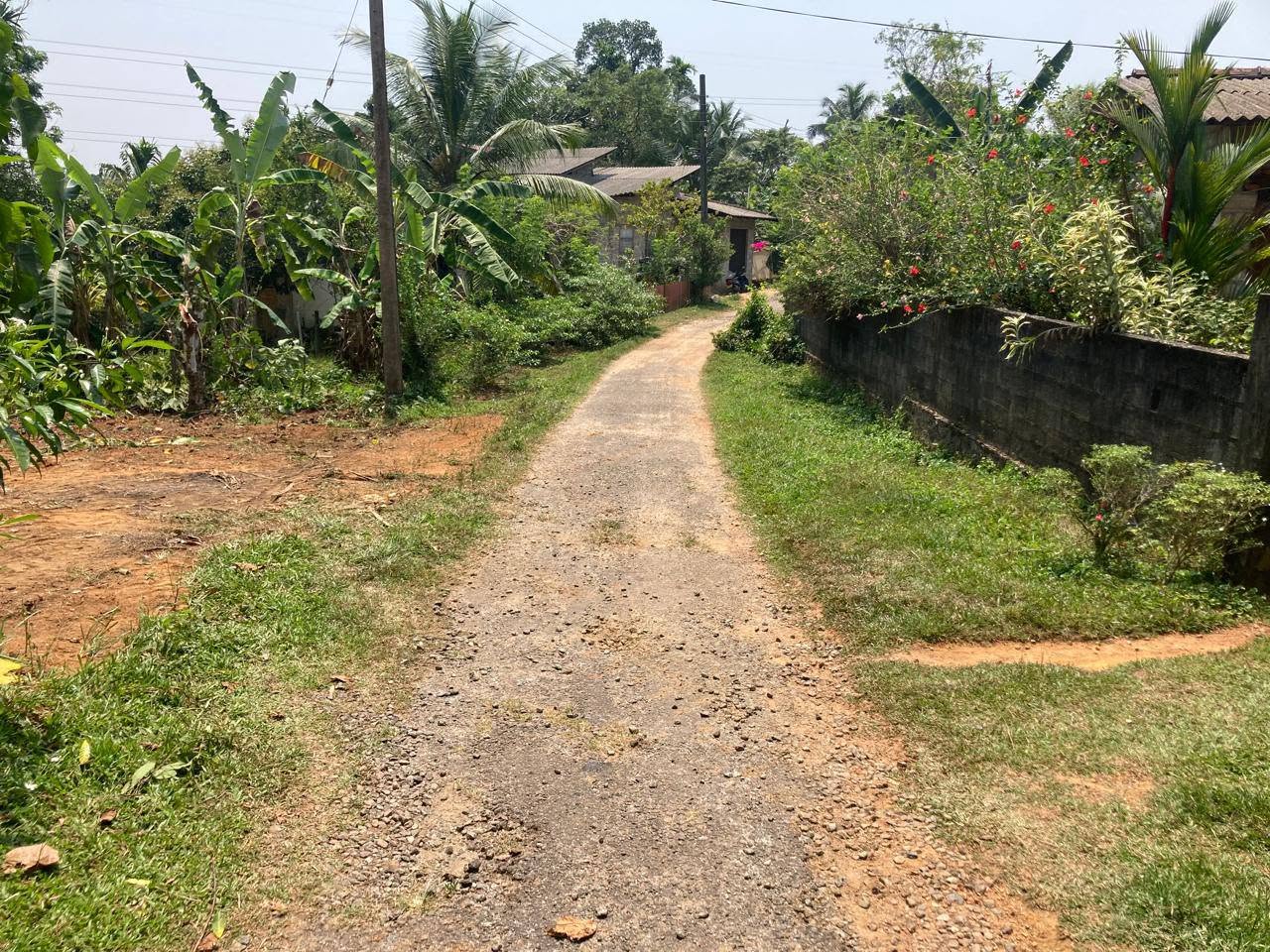හංවැල්ල ජයවීරගොඩ පාරේ පර් 16.5ක ඉඩමක් විකිණීමට ඇත.