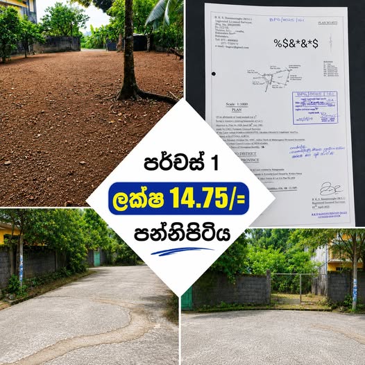 පන්නිපිටිය මාලබේ පාරේ දෙල්ගහවත්ත පාරේ සොබාවික විපත් වලින් තොර වැදගත් වටපිටාවක් ඇති නිස්කලංක තැනිතලා ඉඩමකි.