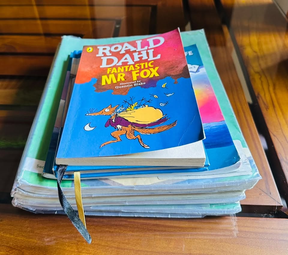 Cambridge Grade 3 Book Set – Excellent Condition
