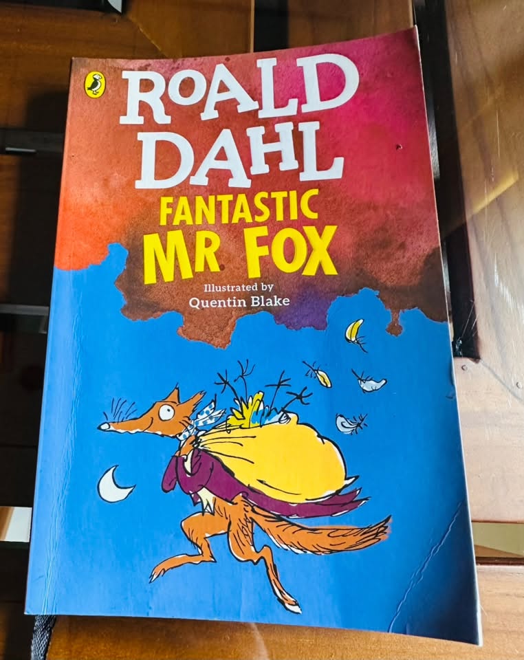 Cambridge Grade 3 Book Set – Excellent Condition