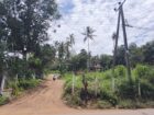 කඩවත ගනේමුල්ල පාරට මුහුනලා ඉඩමක් විකිනීමට