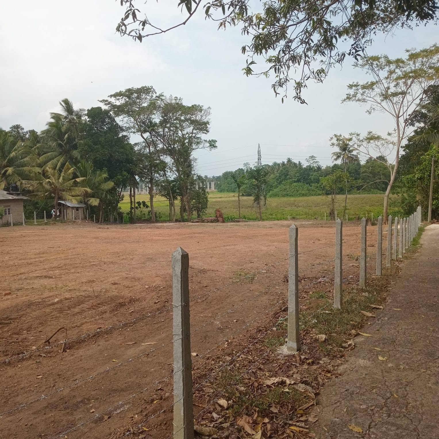 වේයන්ගොඩින් වටිනා ඉඩමක් විකිණීමට!