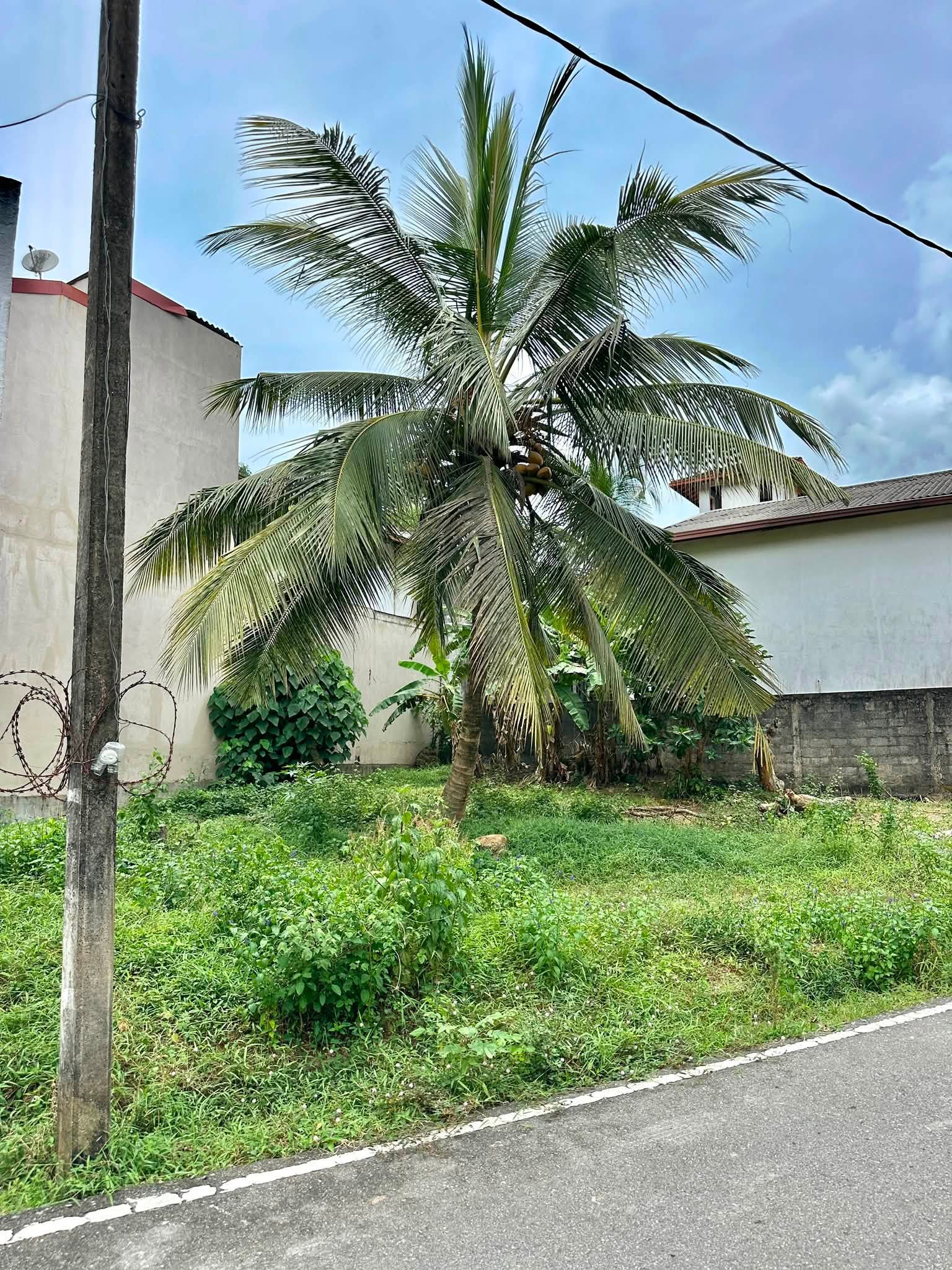 මාළඹේ SLIIT Campus එක ගාවින් සාම උයනේ පර්චස් 10 ක අගනා බිම් කොටසක් විකිණීමට
