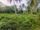 වෙන්නප්පුව කිරිමැටියාන මාර්ගයේ ඉඩමක් විකිණීමට ඇත.