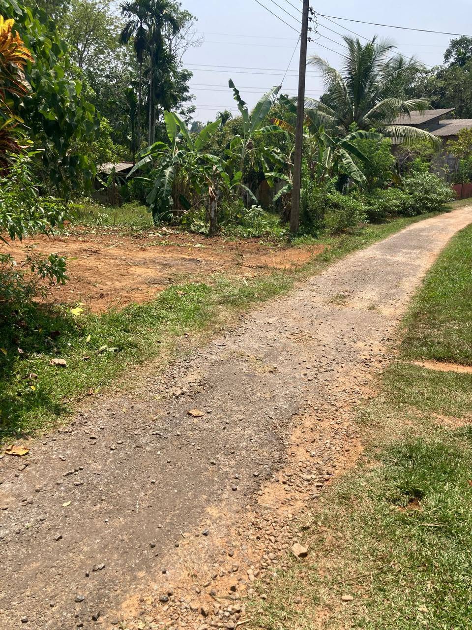 හංවැල්ල ජයවීරගොඩ පාරේ පර් 16.5ක ඉඩමක් විකිණීමට ඇත.